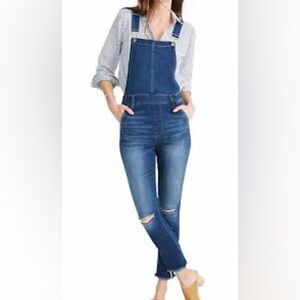 Madewell Overalls Womens Medium‎ Blue Roadtripper Skinny Distressed Denim Frayed